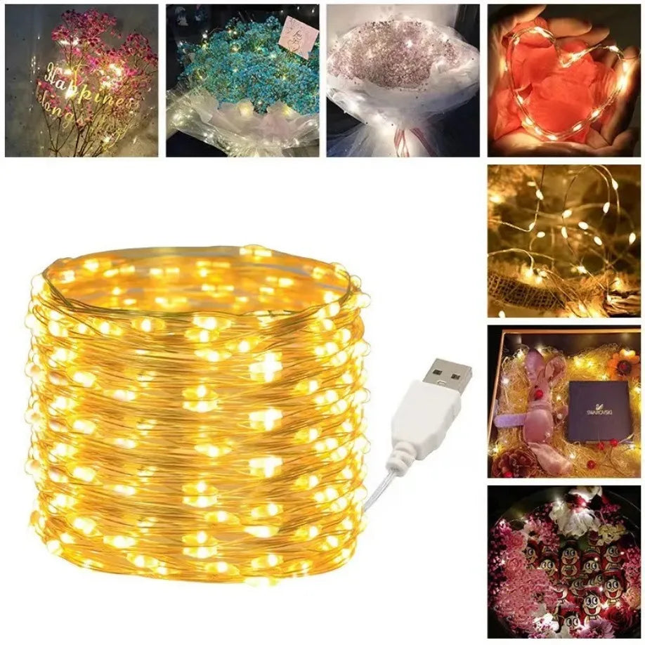 USB LED Lights String Copper Wire Fairy Garland Light Lamp